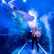 Birmingham: Eintrittskarte für das National Sea Life Centre