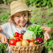 Amalfi: clase de cocina y visita a la granja con comida