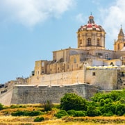 Visita guiada privada a lo más destacado de Malta o Gozo con traslado
