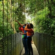La Fortuna: Hanging Bridges, Arenal Volcano, and Falls Tour