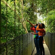 La Fortuna: Hanging Bridges, Arenal Volcano, and Falls Tour