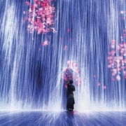 Miami: 'Superblue Miami' Immersive Art Experience Ticket
