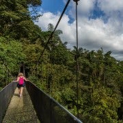 From La Fortuna: Hanging Bridges & Arenal Volcano with Lunch