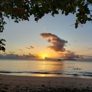 Seychelles: Best of Mahe Private Tour
