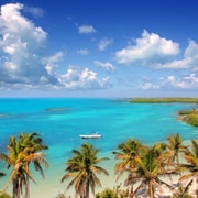 Desde Cancún: Excursión de un día a Contoy e Isla Mujeres