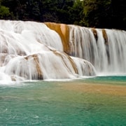 Palenque: Agua Azul, Misol-Ha und Palenque Ruinen Tagestour