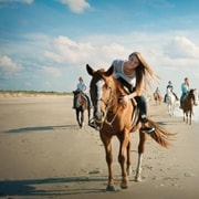 Holbox: Guided Horseback Ride on the Beach