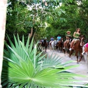 Tulum: Reiten im Dschungel mit Transfers und Mittagessen