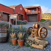 Fuerteventa: gita di mezza giornata alle grotte dei pirati di Ajuy e alla fabbrica di aloe