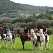 Majorque : Visite guidée à cheval de la vallée de Randa