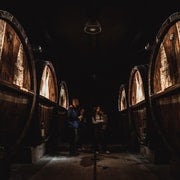 Alsacia: Cata guiada de vinos y visita a la bodega