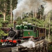 Puffing Billy Railway: Viaje en tren de vapor histórico