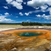 Von Jackson: Yellowstone National Park Tagesausflug mit Mittagessen