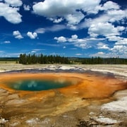 Von Jackson: Tagestour zum Yellowstone National Park mit Mittagessen