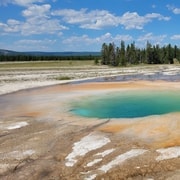 Tour privato del Parco Nazionale di Yellowstone