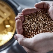 Berlino: Tour della BRLO BRWHOUSE e degustazione di birra artigianale