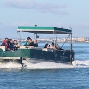 Ab Faro: 4 Stopps, 3 Inseln in der Ria Formosa Katamaran Tour