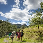 San Sebastián: Ruta de las Sidrerías Tradicionales con Comida