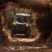 Almancil: Geführtes Off-Road Buggy-Abenteuer an der Algarve