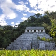 San Cristóbal: Agua Azul, Misol Ha & Palenque Experience