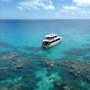 Puerto Douglas: Crucero de snorkel por la Gran Barrera de Coral Exterior
