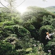 Insel Mahe: Zip Lining und Schnorchelausflug zum Meerespark
