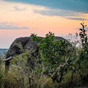 2 dias Parque Nacional Kruger