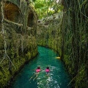 Playa del Carmen: Entrada Xcaret Plus con Espectáculo y Comida