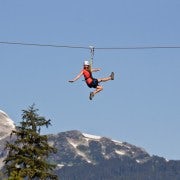 Zipline di Whistler: tour Ziptrek Eagle