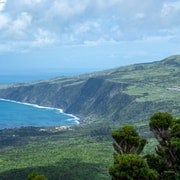 Île de Faial : visite d'une demi-journée