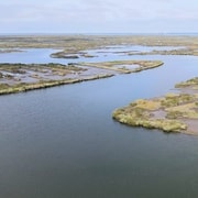 Aveiro: Excursión en barco por lo más destacado de la Ría