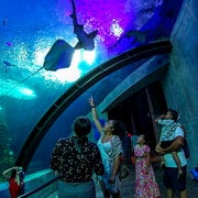 Mazatlan: biglietto per il Grand Aquarium e giro turistico della città