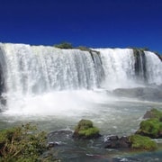 Foz do Iguaçu: Brazilian Side of the Falls + Bird Park