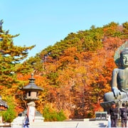 From Seoul: Seoraksan Mountain with Cable Car- Shuttle Bus