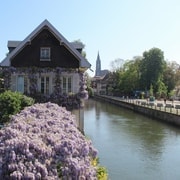 Strasbourg: Walking Tour with Local Guide