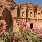 From Jerusalem: Petra and Wadi Rum 3-Day Tour