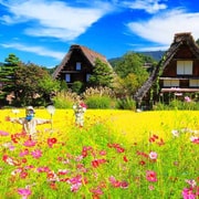 Nagoya: Shirakawa-go Dorf und Takayama UNESCO 1-Tagestour