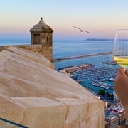 Alicante: degustazione di vini del Castello di Santa Bárbara con salumi