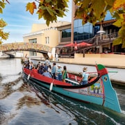 Aveiro : Visite guidée pittoresque en bateau