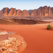 Amã: Excursão de 2 dias a Petra, Wadi Rum e Mar Morto