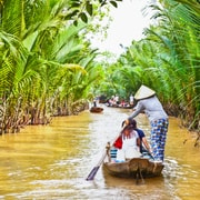 Desde Ciudad Ho Chi Minh: Tour de día completo por el Delta del Mekong