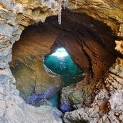 Marsiglia: Crociera in barca nel Parco Marino Calanques Côte Bleue