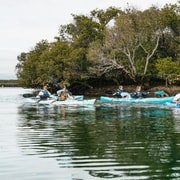 Adelaida: Excursión en Eco Kayak por el Santuario de los Delfines