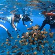 Bali/Nusa Penida: Snorkeling a Manta Point e tour della costa occidentale