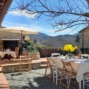 Chianti: Homemade Pasta Making Class and Lunch