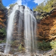 Da Sydney: Tour delle Blue Mountains con passeggiata alle cascate e pranzo