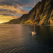 Funchal: Tour in barca a vela al tramonto con osservazione di delfini e balene