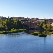 Salamanca: Private tour of the most important sites