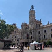 Depuis Albir, Altea, Benidorm et Calpe : Excursion dans la ville de Valence