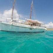 Desde Mykonos: Excursión de medio día en barco a las islas Delos y Rhenia